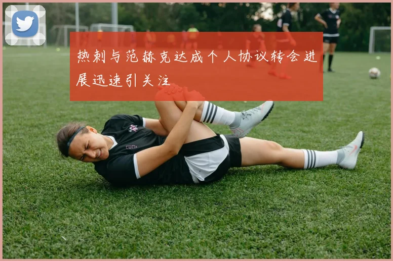 热刺与范赫克达成个人协议转会进展迅速引关注