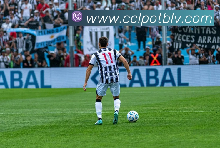 战术分析频道